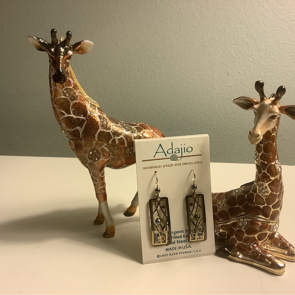 NWT! Dangle earrings